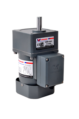 Kompaktowy motoreduktor AC 6 - 250 W 220 V do przenośnika taśmowego